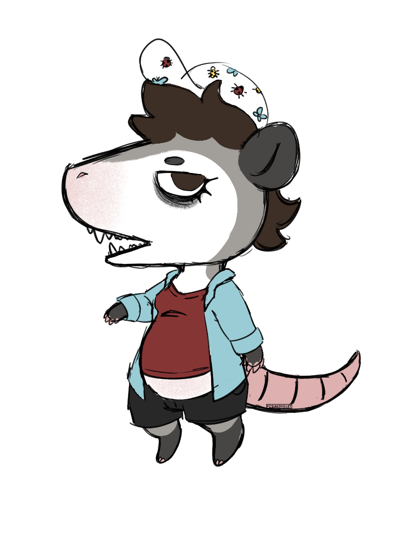 A tired looking opossum wearing a baseball cap, tee, sunshirt, and basketball shorts