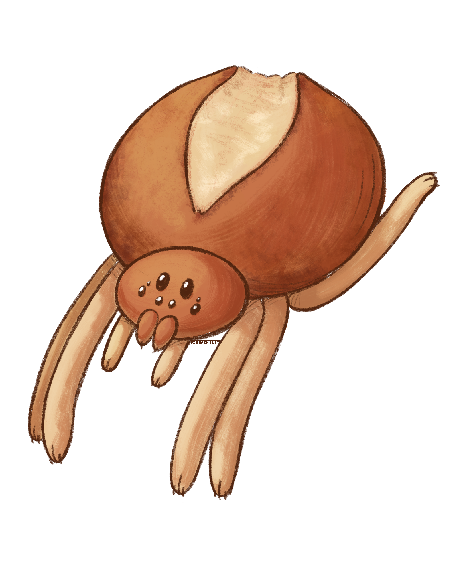 a drawing of an orb weaver spider, made out of bread