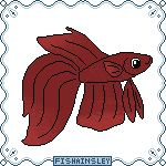  a red veiltail male betta fish surounded by a decorative blue frame.